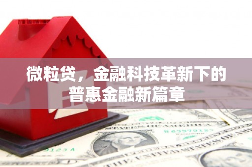潍坊微粒贷，金融科技革新下的普惠金融新篇章