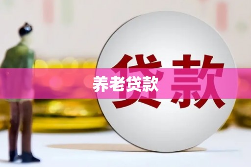 潍坊养老贷款