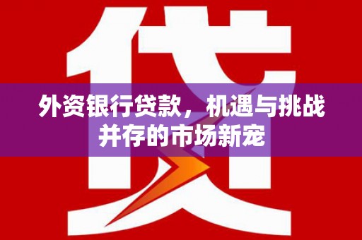 潍坊外资银行贷款，机遇与挑战并存的市场新宠