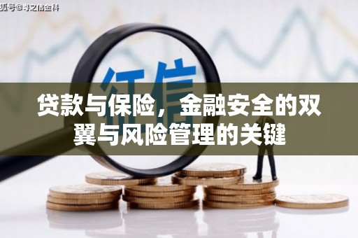 潍坊贷款与保险，金融安全的双翼与风险管理的关键
