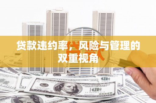 潍坊贷款违约率，风险与管理的双重视角
