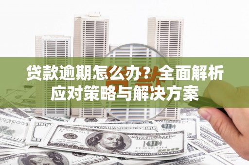 潍坊贷款逾期怎么办？全面解析应对策略与解决方案
