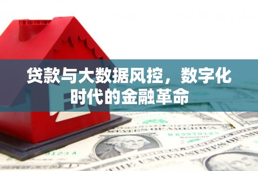 潍坊贷款与大数据风控，数字化时代的金融革命