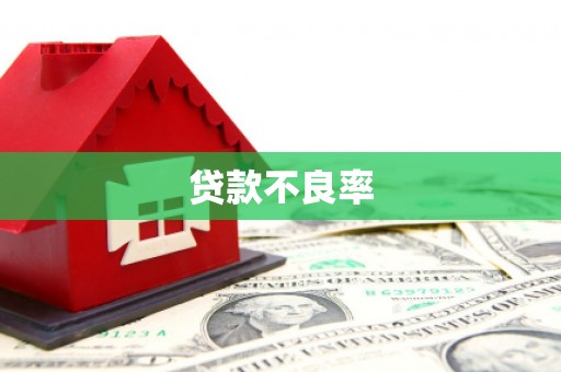 潍坊贷款不良率