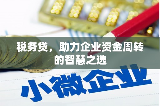 潍坊税务贷，助力企业资金周转的智慧之选