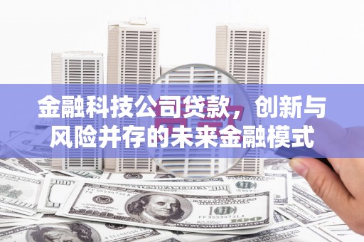 潍坊金融科技公司贷款，创新与风险并存的未来金融模式