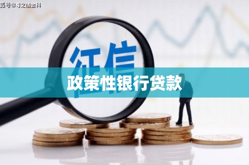 潍坊政策性银行贷款