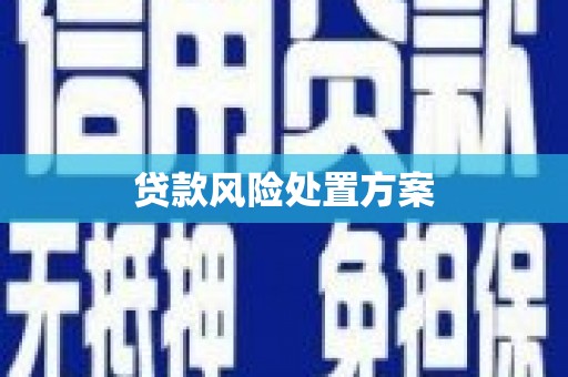 潍坊贷款风险处置方案