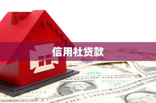 潍坊信用社贷款