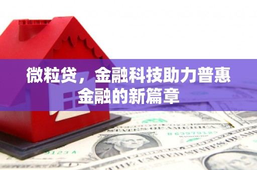 潍坊微粒贷，金融科技助力普惠金融的新篇章