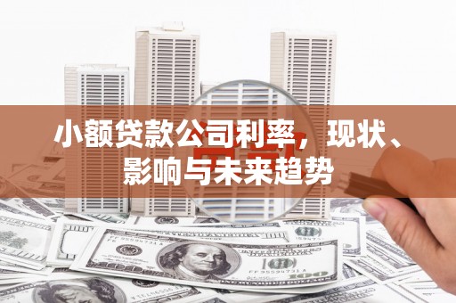 潍坊小额贷款公司利率，现状、影响与未来趋势