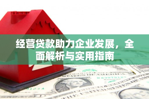 潍坊经营贷款助力企业发展，全面解析与实用指南