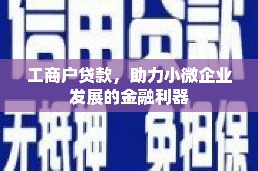 潍坊工商户贷款，助力小微企业发展的金融利器
