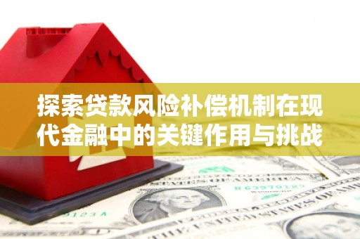 潍坊探索贷款风险补偿机制在现代金融中的关键作用与挑战