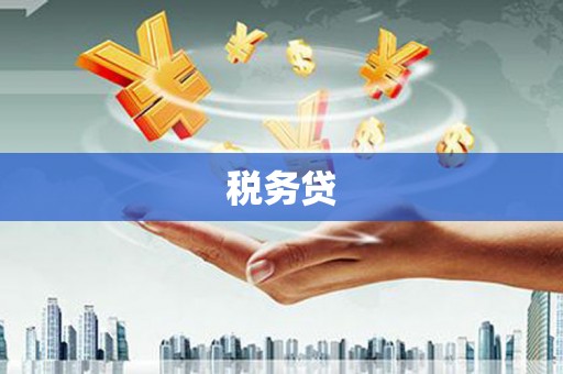 潍坊税务贷