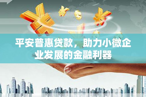 潍坊平安普惠贷款，助力小微企业发展的金融利器