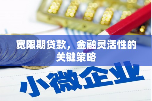 潍坊宽限期贷款，金融灵活性的关键策略