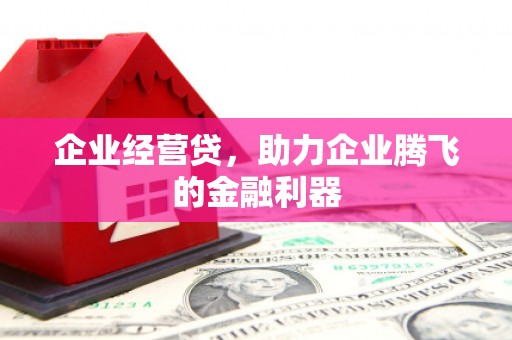 潍坊企业经营贷，助力企业腾飞的金融利器