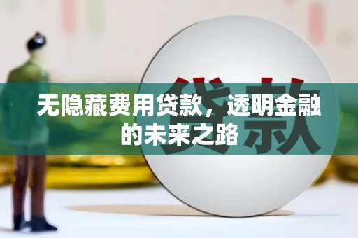 潍坊无隐藏费用贷款，透明金融的未来之路