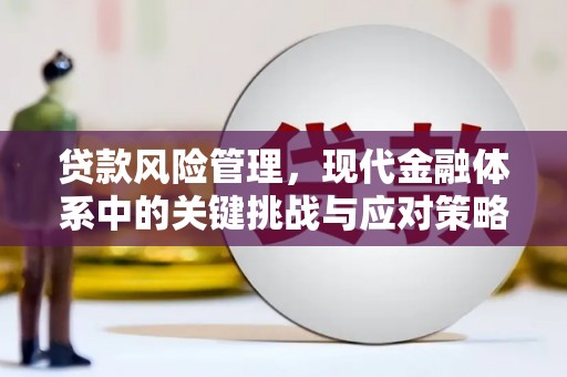 潍坊贷款风险管理，现代金融体系中的关键挑战与应对策略