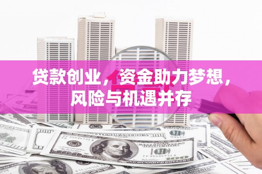 潍坊贷款创业，资金助力梦想，风险与机遇并存