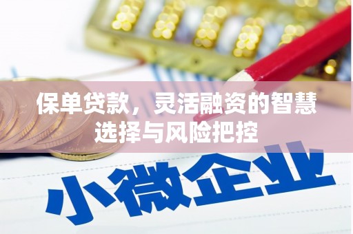 潍坊保单贷款，灵活融资的智慧选择与风险把控
