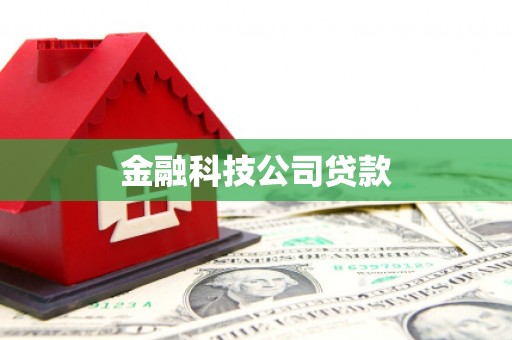 潍坊金融科技公司贷款