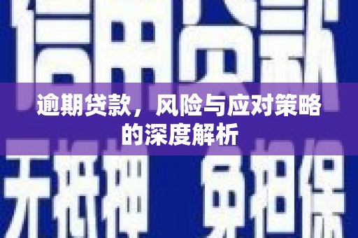 潍坊逾期贷款，风险与应对策略的深度解析