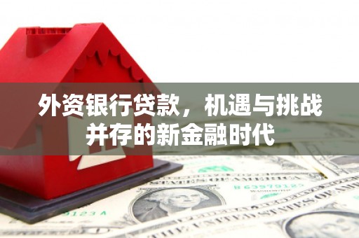 潍坊外资银行贷款，机遇与挑战并存的新金融时代