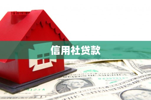 潍坊信用社贷款