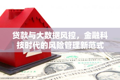 潍坊贷款与大数据风控，金融科技时代的风险管理新范式