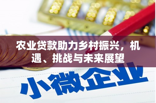 潍坊农业贷款助力乡村振兴，机遇、挑战与未来展望