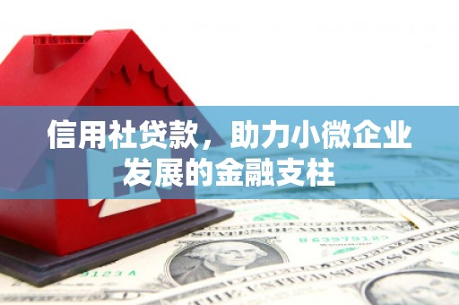 潍坊信用社贷款，助力小微企业发展的金融支柱