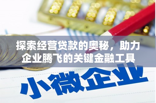 潍坊探索经营贷款的奥秘，助力企业腾飞的关键金融工具