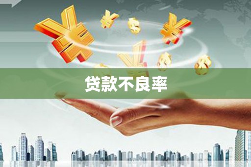 潍坊贷款不良率