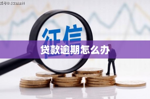 潍坊贷款逾期怎么办