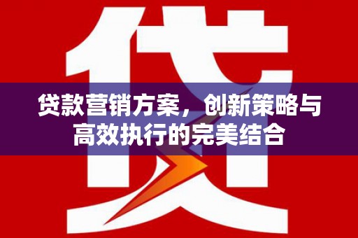 潍坊贷款营销方案，创新策略与高效执行的完美结合