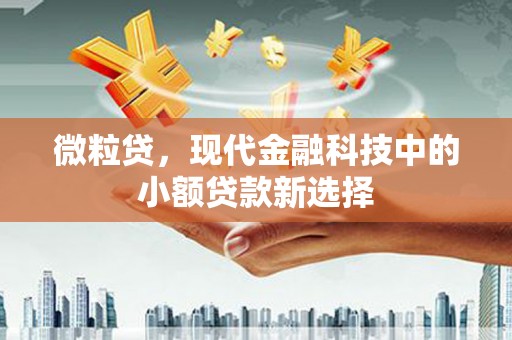 潍坊微粒贷，现代金融科技中的小额贷款新选择