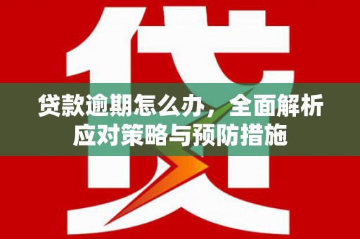 潍坊贷款逾期怎么办，全面解析应对策略与预防措施