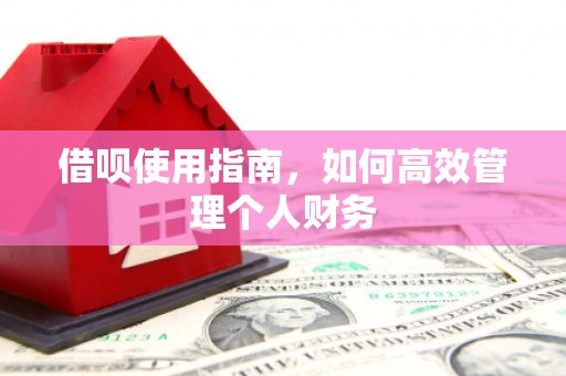 潍坊借呗使用指南，如何高效管理个人财务