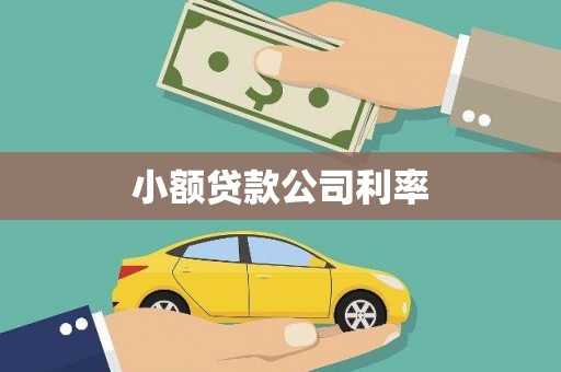 潍坊小额贷款公司利率