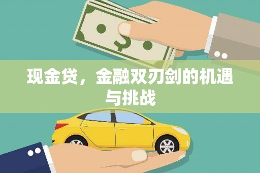 潍坊现金贷，金融双刃剑的机遇与挑战