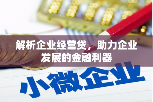 潍坊解析企业经营贷，助力企业发展的金融利器
