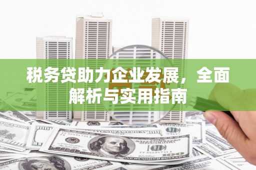 潍坊税务贷助力企业发展，全面解析与实用指南