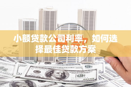 潍坊小额贷款公司利率，如何选择最佳贷款方案