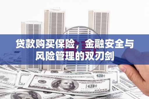 潍坊贷款购买保险，金融安全与风险管理的双刃剑
