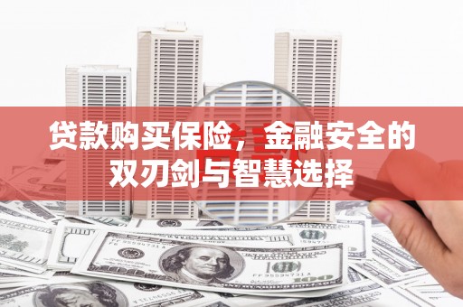 潍坊贷款购买保险，金融安全的双刃剑与智慧选择