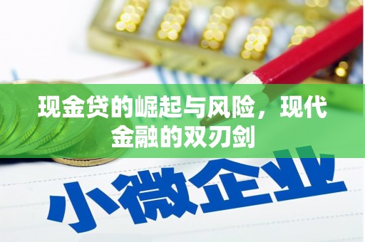 潍坊现金贷的崛起与风险，现代金融的双刃剑