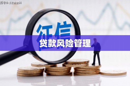 潍坊贷款风险管理