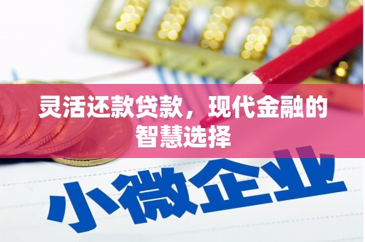 潍坊灵活还款贷款，现代金融的智慧选择